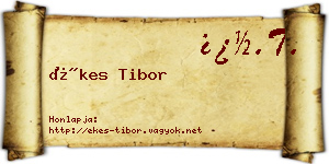 Ékes Tibor névjegykártya